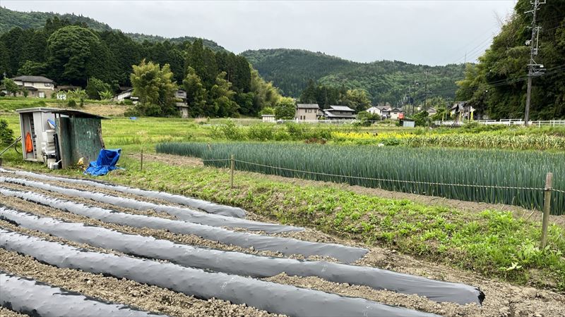 田舎